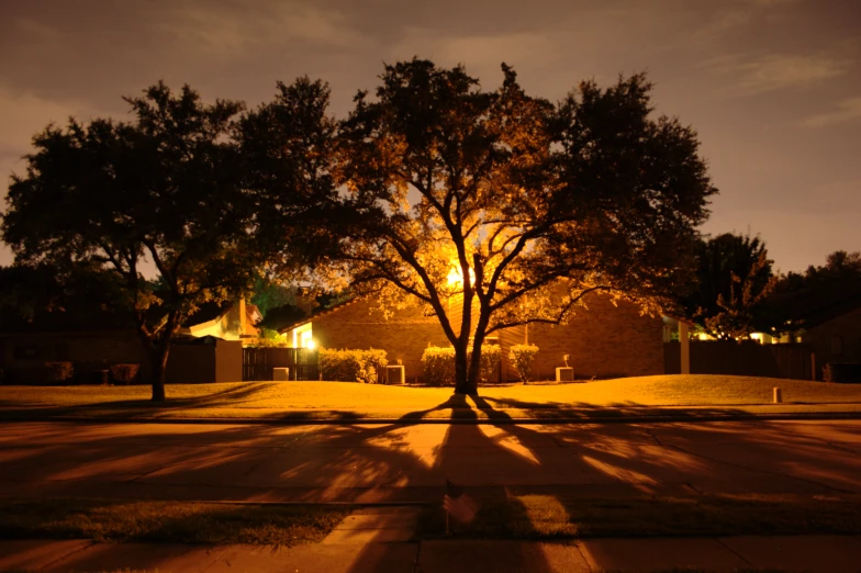 the sun shining through the trees in the city