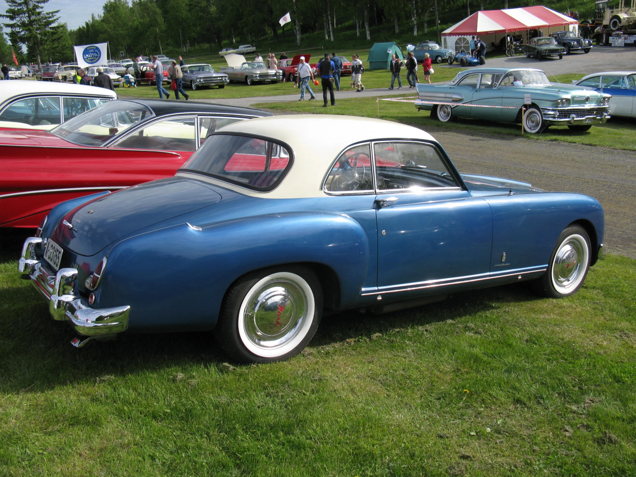 a blue and white car in a grass field