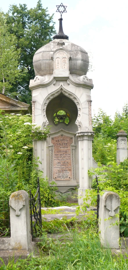 a grave is surrounded by tall grass