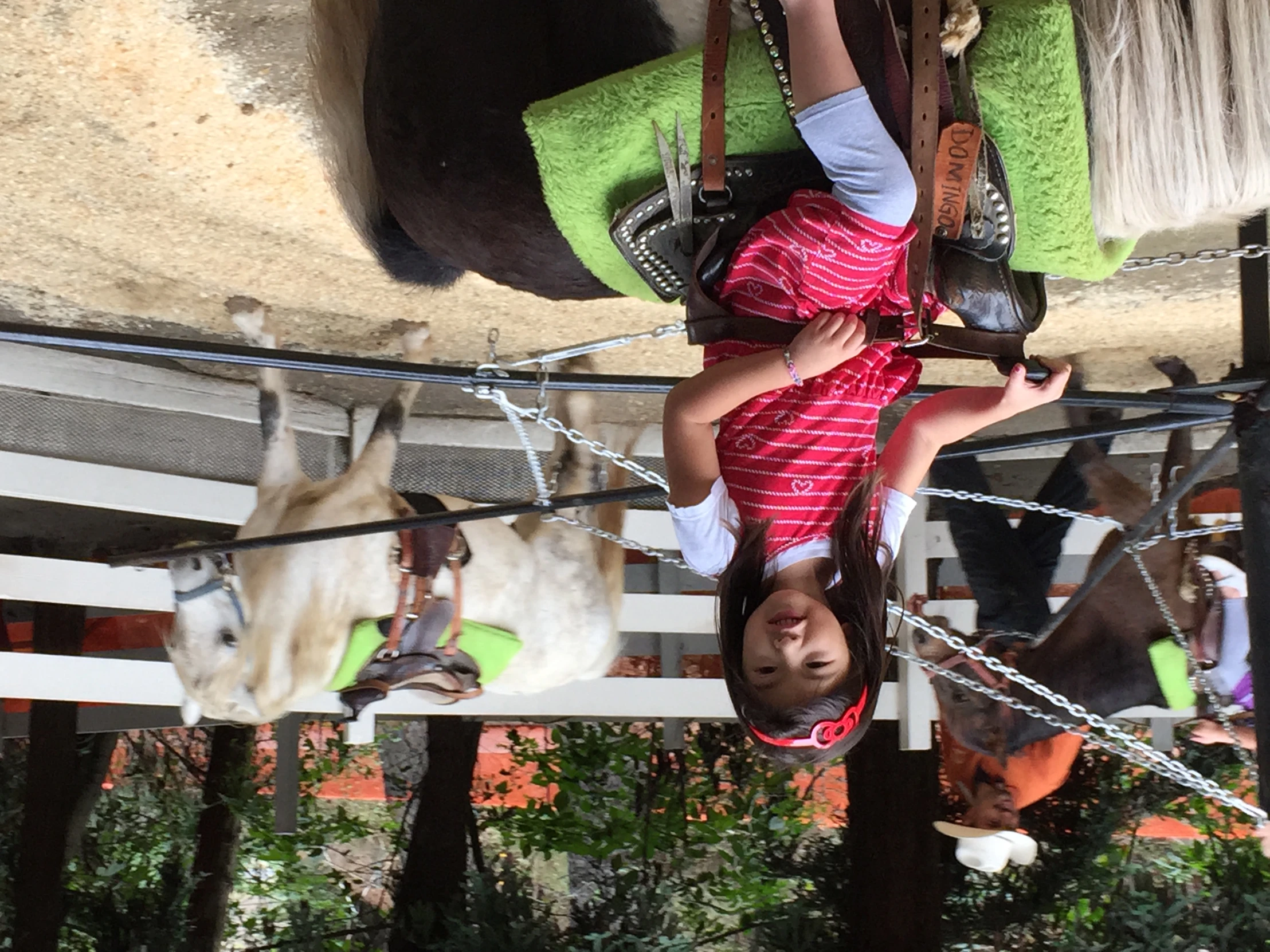 a little girl wearing a pink and white shirt is riding a horse at a petting zoo