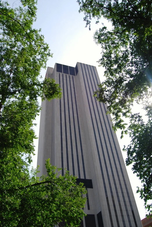 the tall building is near several trees and green foliage
