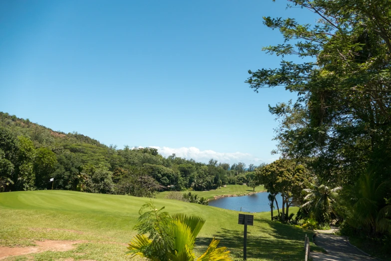 a grassy golf field with a pond next to it