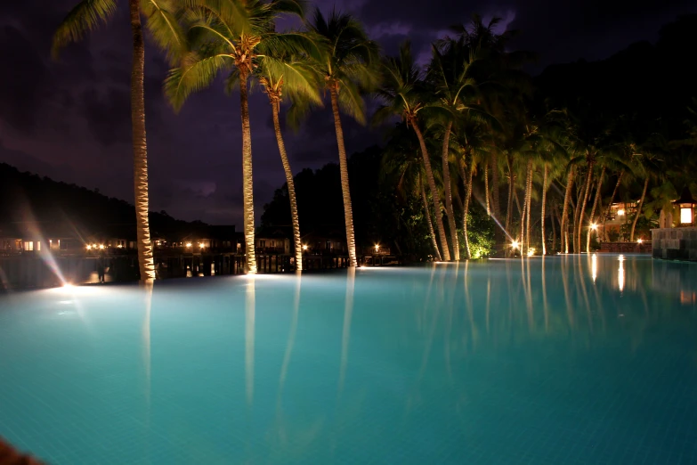 a pool with palm trees and lights along the side