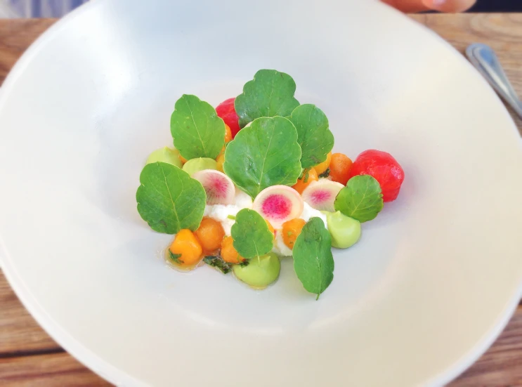 a dish of vegetables made with fruit arranged in petals