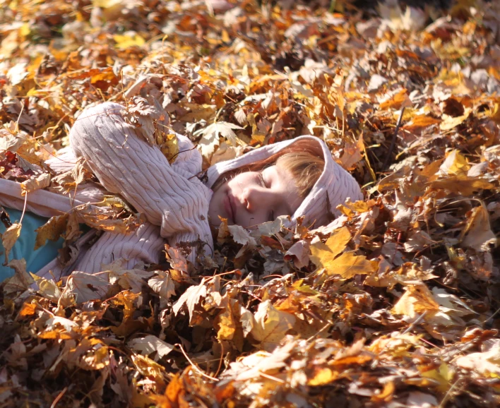  asleep in a pile of leaves with hat on head