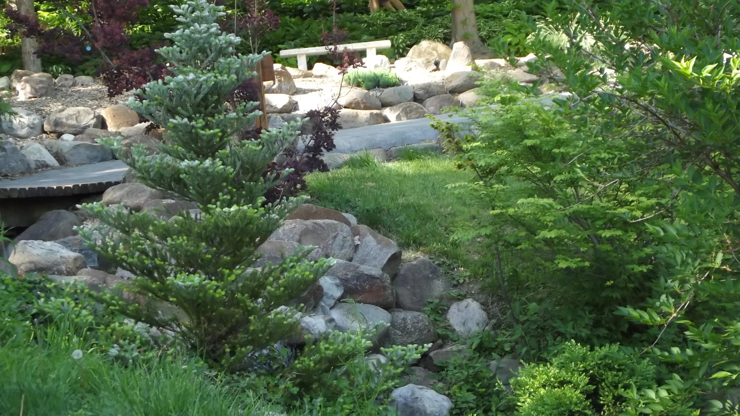 an area with rocks and trees surrounding a bench