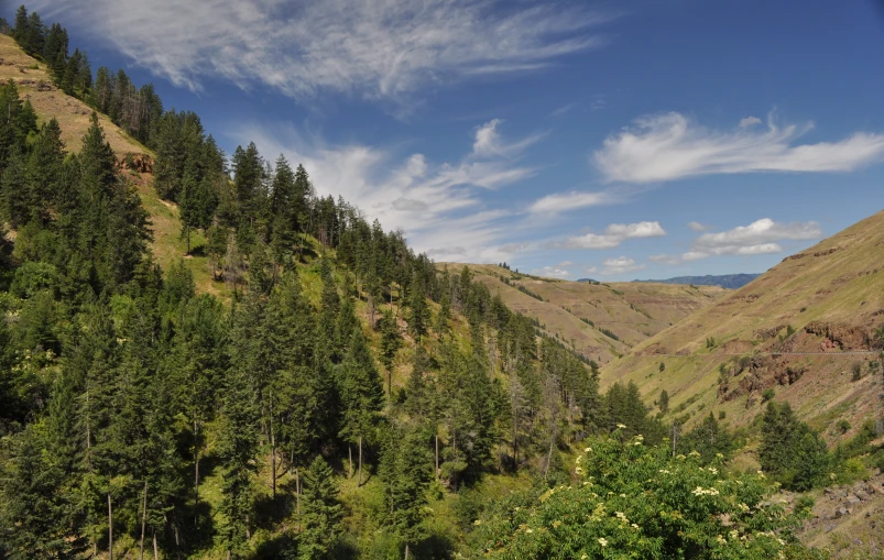 some very pretty green mountains with trees on top