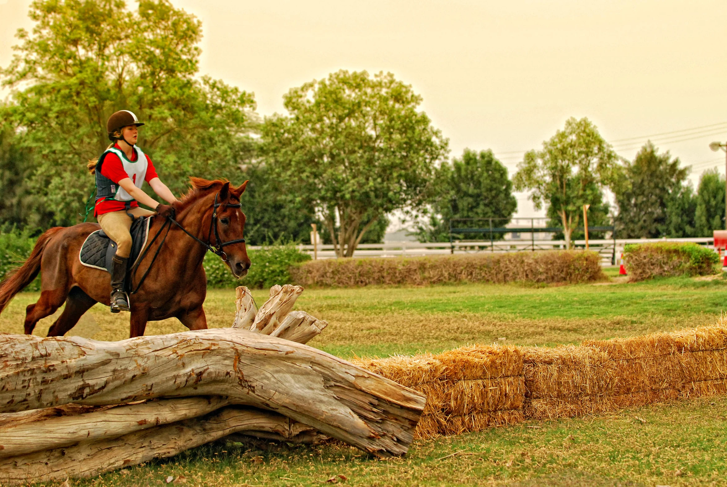 a woman riding a brown horse in an enclosure