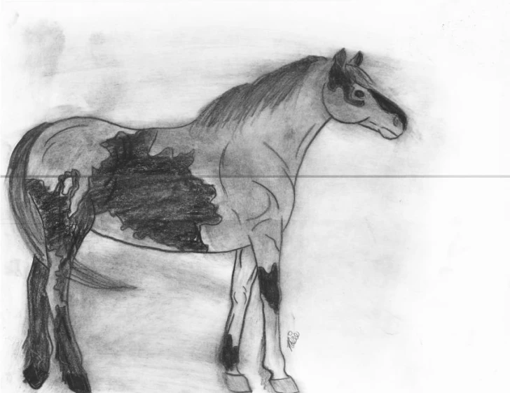 a horse has its hind legs extended and head down