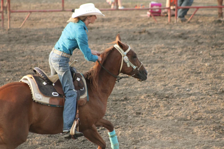 the person in blue jacket rides a brown horse