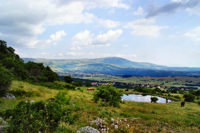 a landscape with green grass and mountains in the background