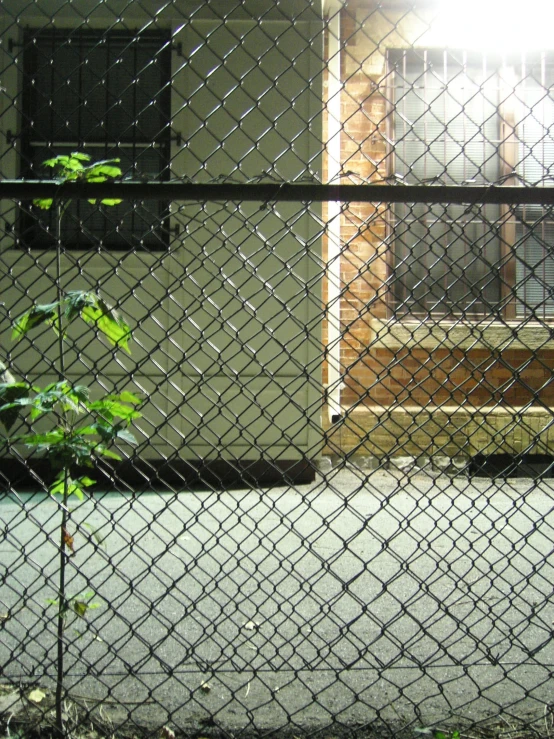 the view out of the window of a building through the fence