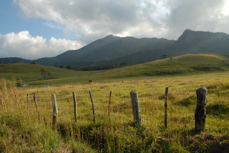 an open field with grass and fence surrounding