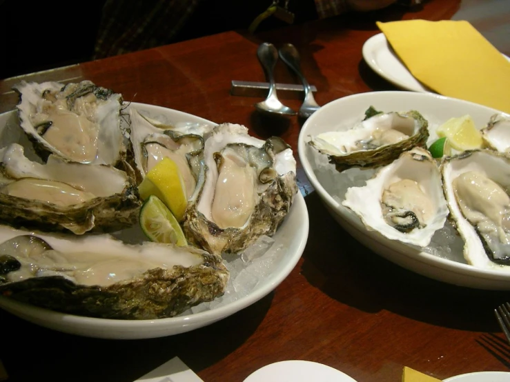 oysters and er are served in small white bowls