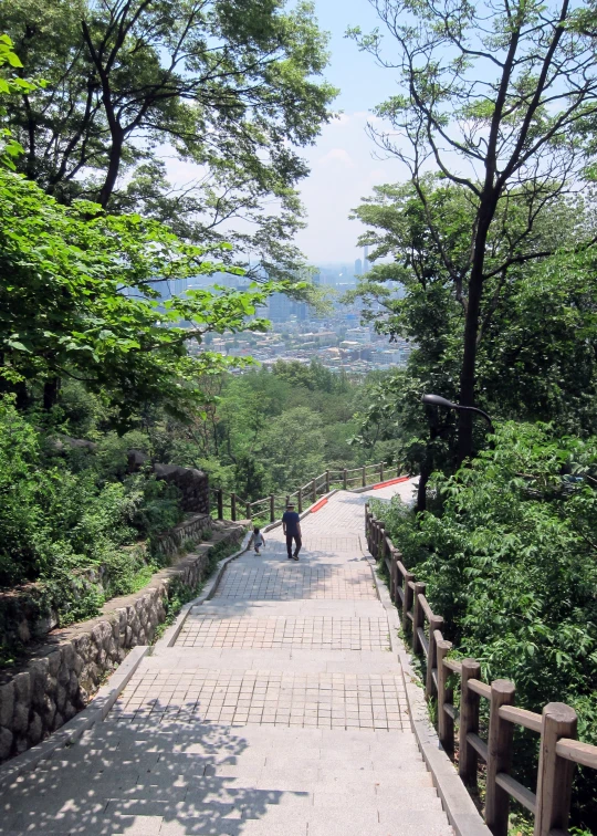 two people walk down a brick walkway between trees