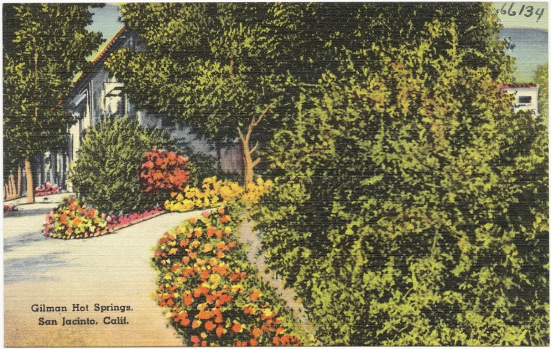 a postcard shows the corner of an outdoor sidewalk