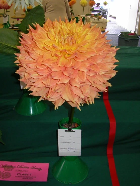 a yellow and orange flower in a green vase