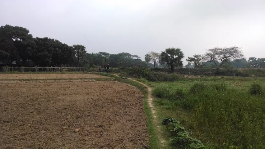 an open field with some bushes and trees in the background