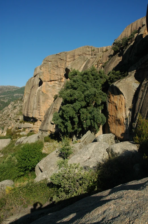 a view of rocks and vegetation and mountain side