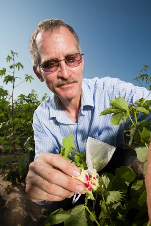 an older man in blue shirt and sunglasses  a flower