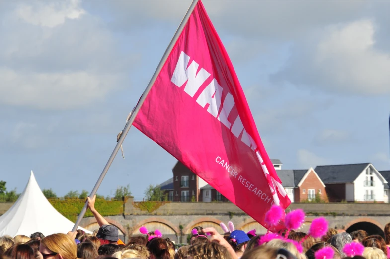 a person holding a pink flag in the air
