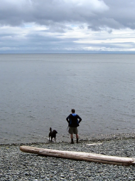 a man with his dog watching another dog