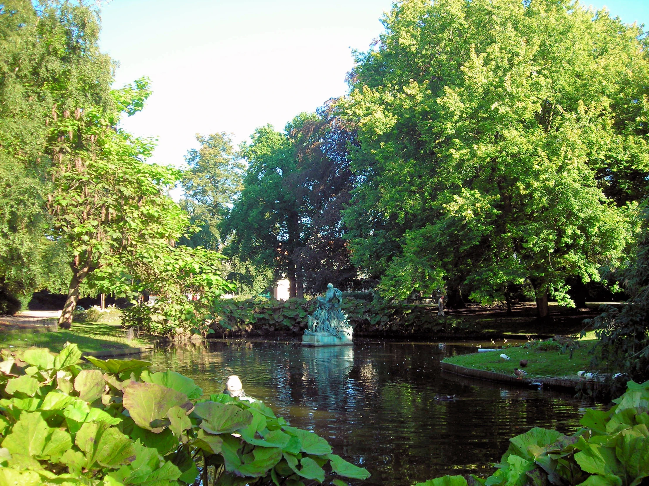 a pond surrounded by trees with water lillies floating in the water