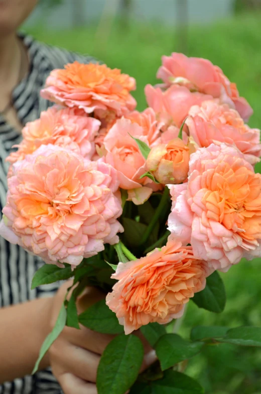 a close up of a person holding some flowers