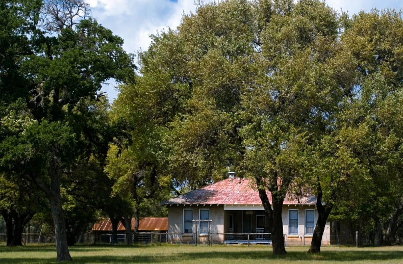 the building has a red roof and tall trees