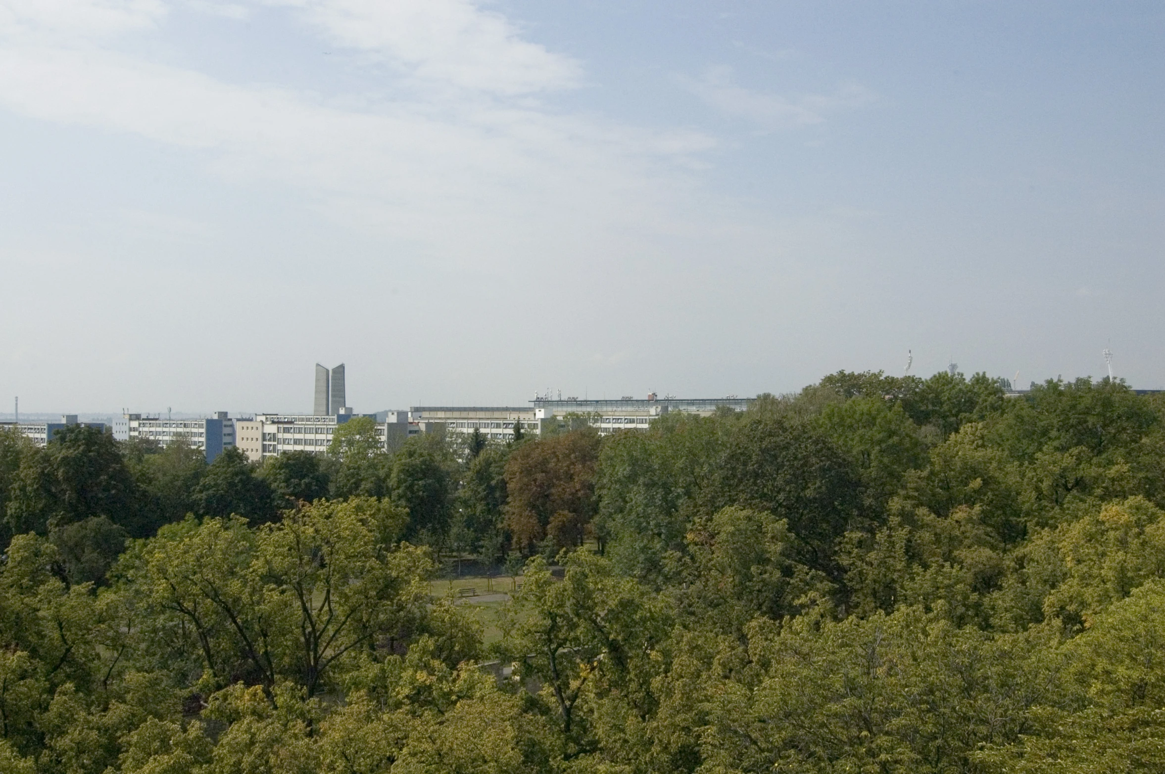 looking down at a city, with trees in front