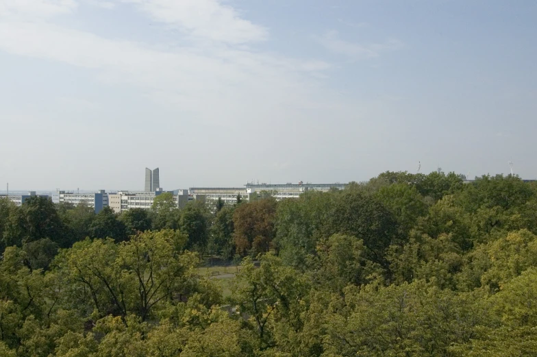 looking down at a city, with trees in front