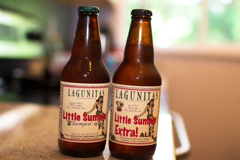 two empty beer bottles sitting on top of a counter