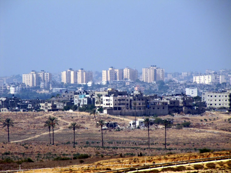 a city skyline and grassy field in the foreground