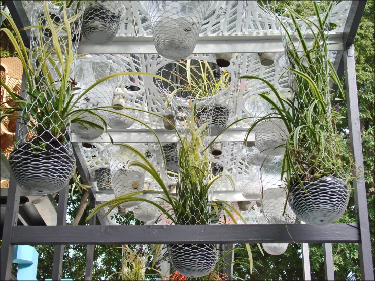 several potted plants are placed on the shelf