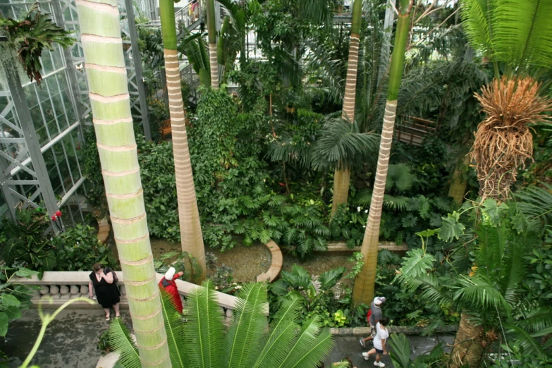 an exotic garden with people walking and trees