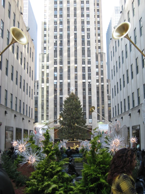 christmas trees in front of skyscrs and a tree with lights