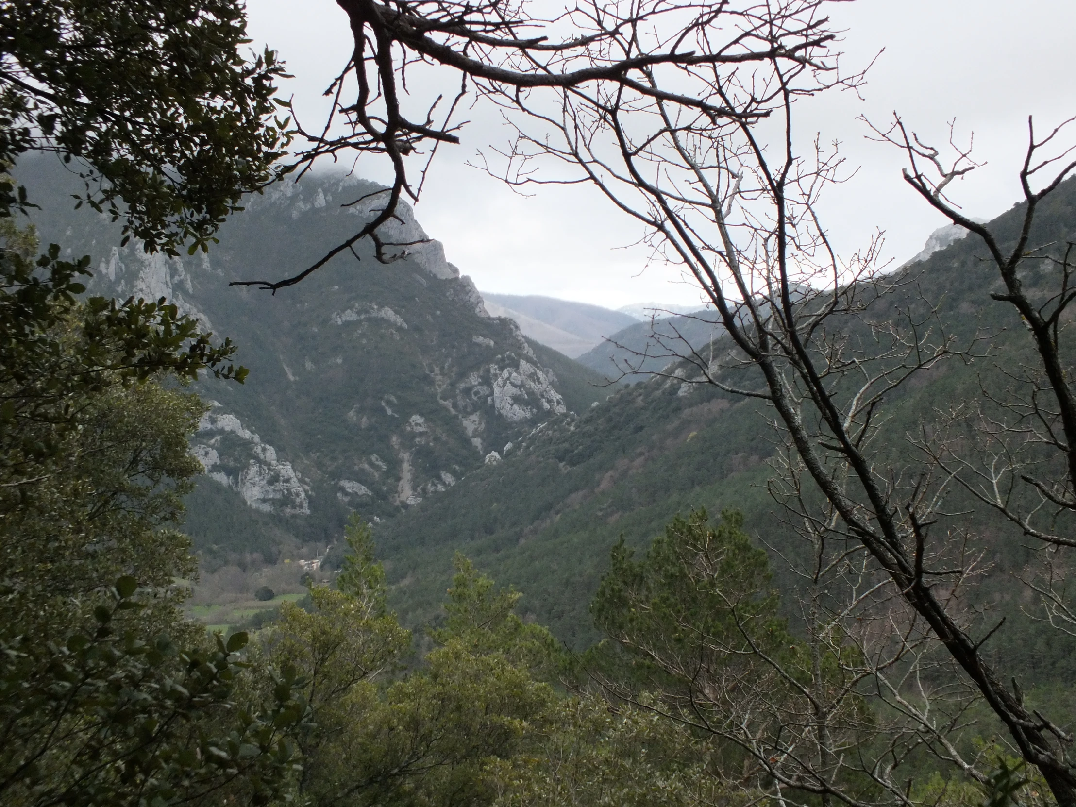 a mountain valley with some thin nches