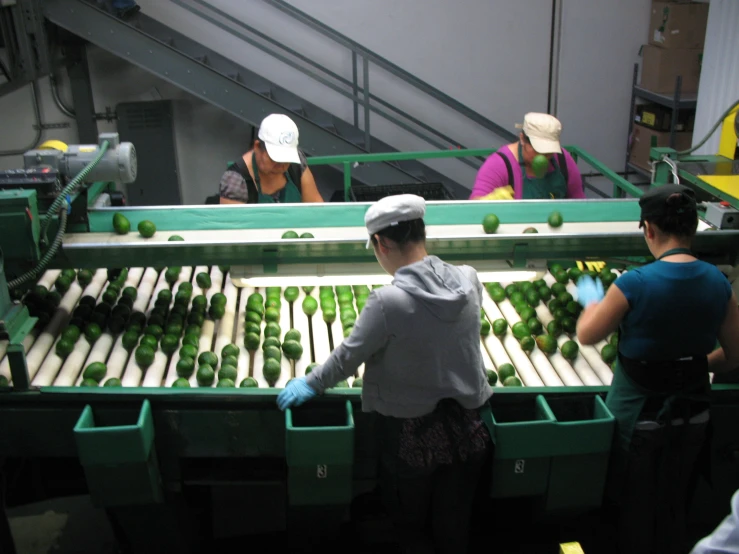 some people on some green containers and one lady wearing blue