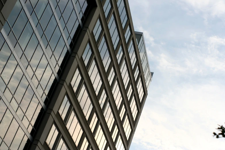 a high rise building and a tree with no leaves