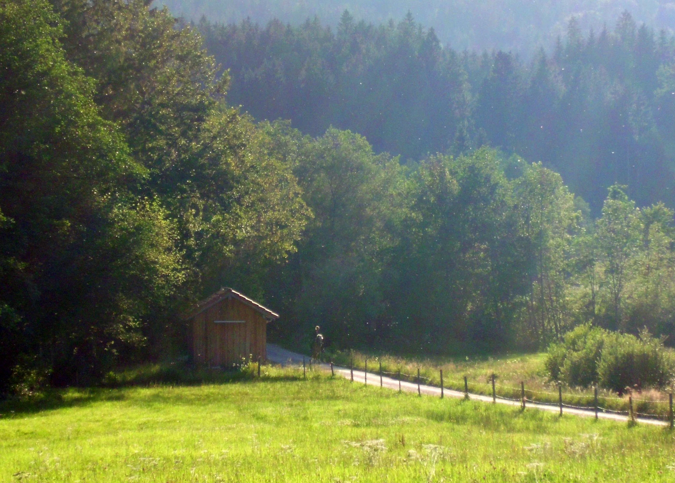 small building in the middle of the field