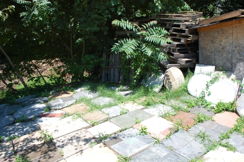 an area outside with grass and rocks is shown