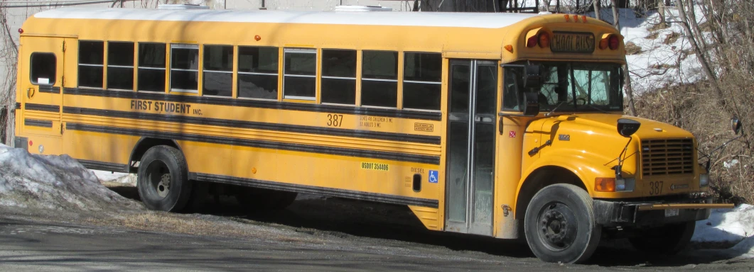 a yellow school bus parked next to a tree