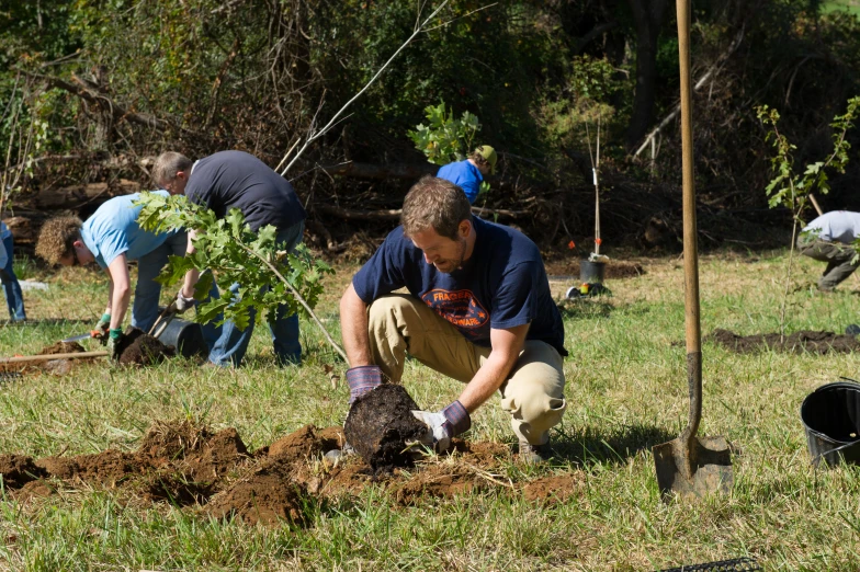 a group of men digging in dirt next to a tree