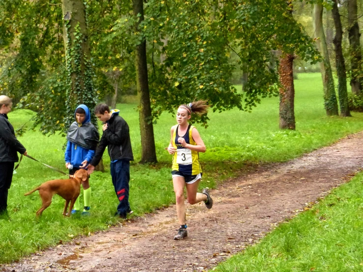 a lady and her son are walking their dogs in the park