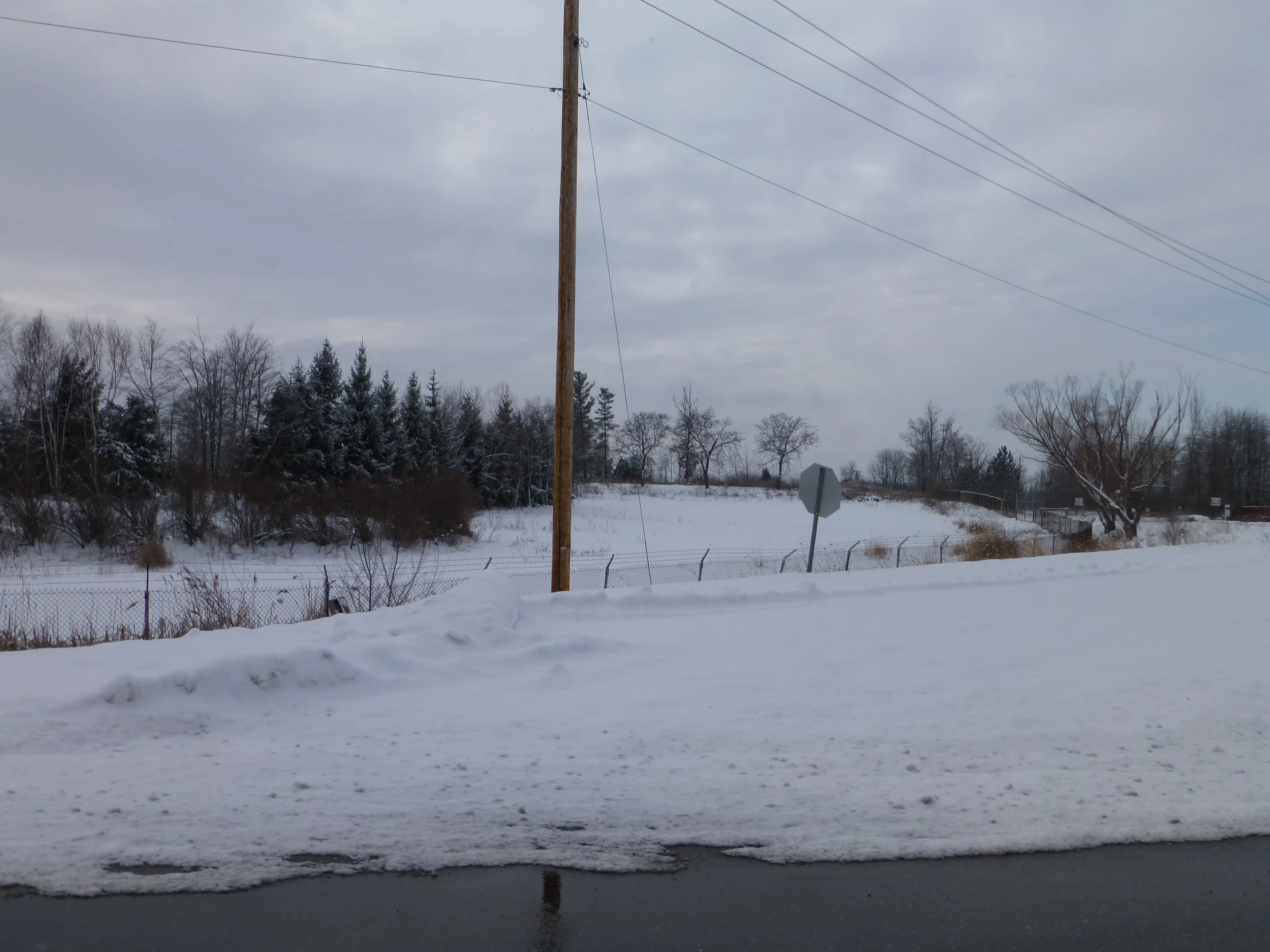 snow on the ground and the power lines