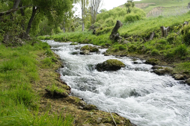 a small mountain stream runs through the wilderness