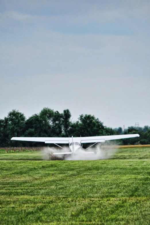 an airplane landing on a grass field with trees in the background