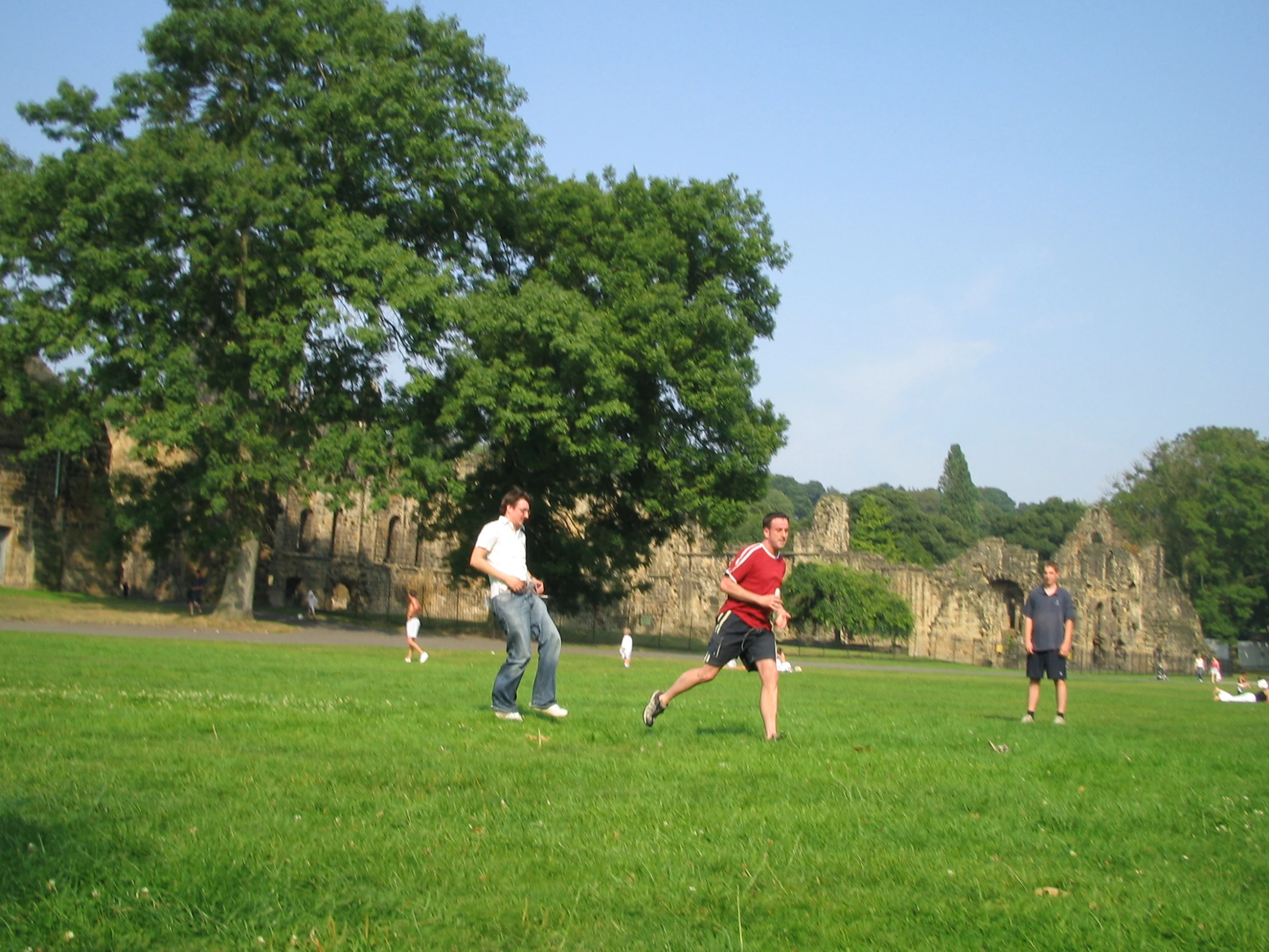 men playing frisbee in the park near trees