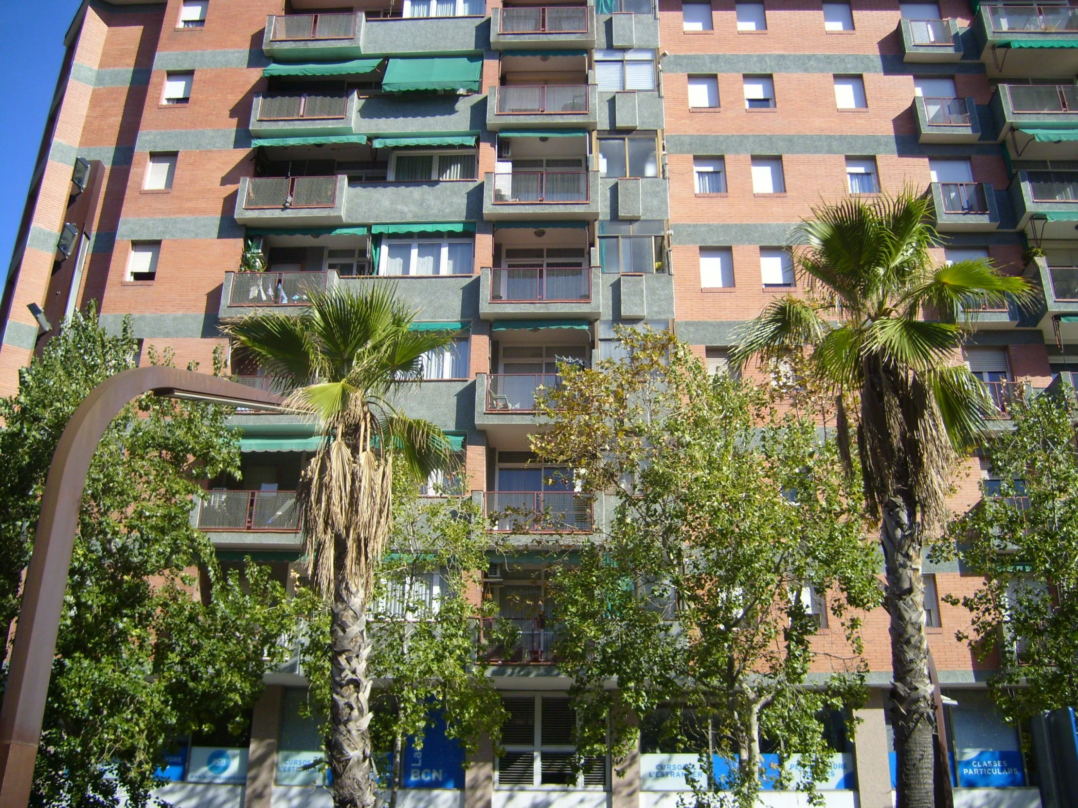 some palm trees a building and some buildings