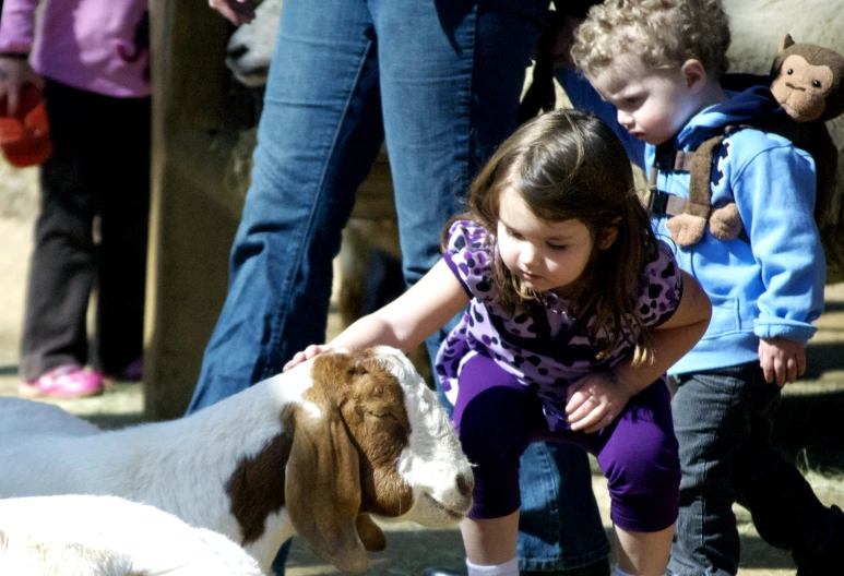 a  pets a puppy in front of a crowd